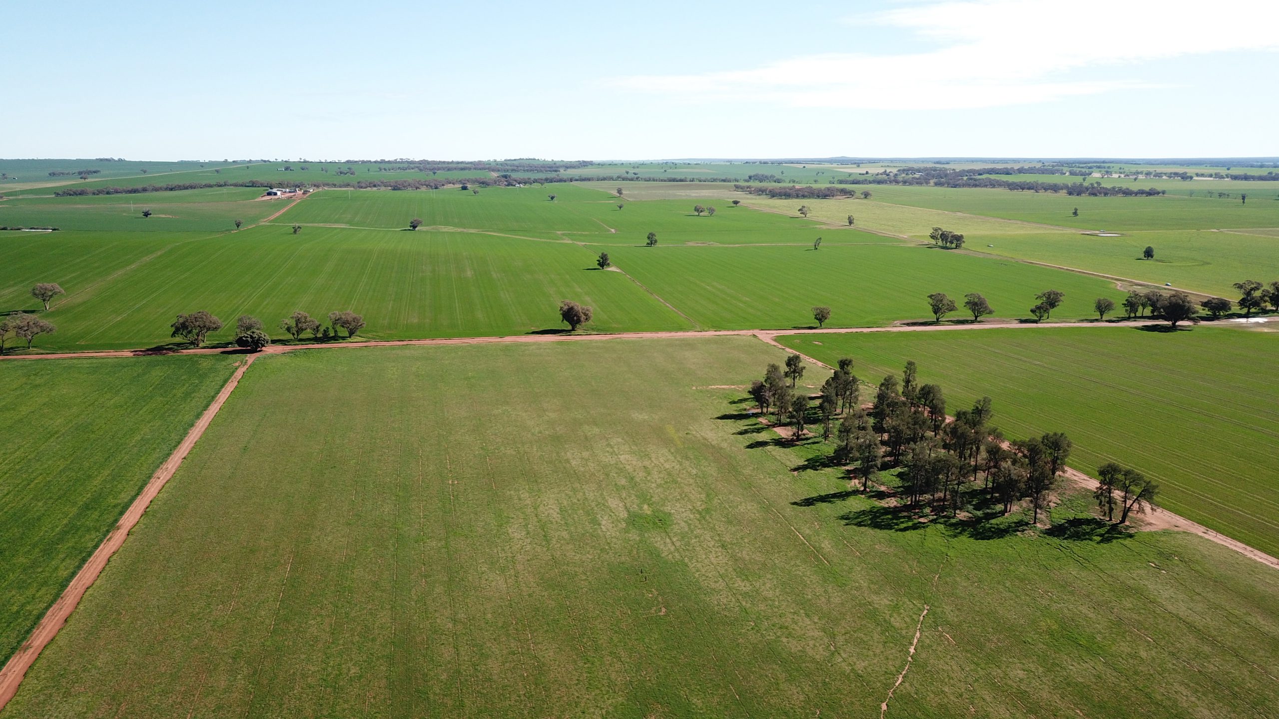 Green Finance for 7th Solar Farm in Australia | Abdul Latif Jameel®