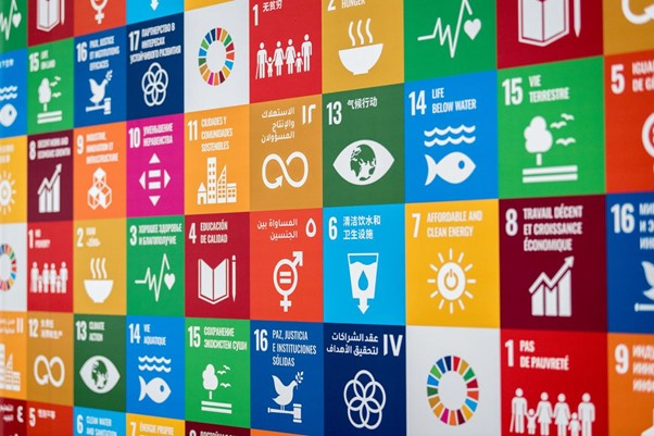 UN SDG Wall