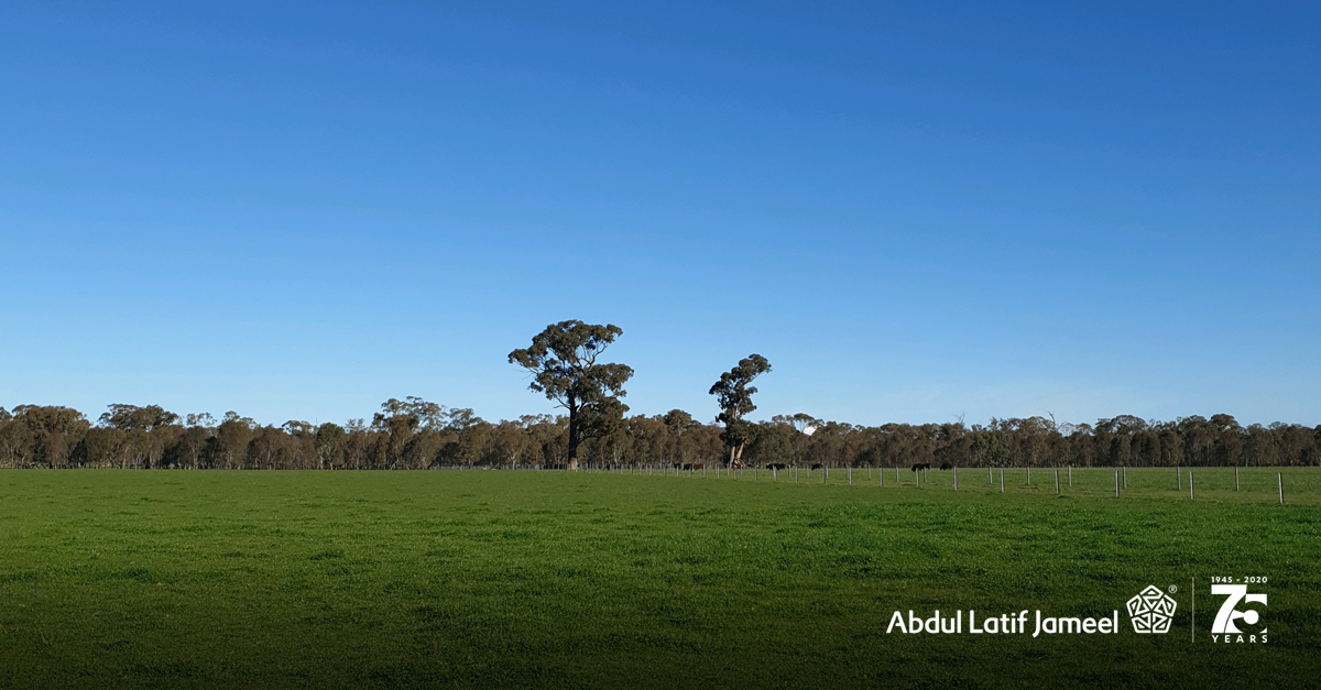 FRV's 10th Solar Farm in Australia | Abdul Latif Jameel®