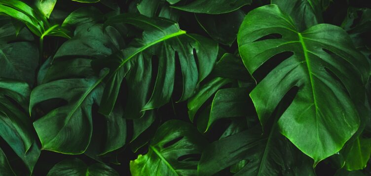 Fady Jameel featured in Forbes Middle East Sustainability Leaders List 2025